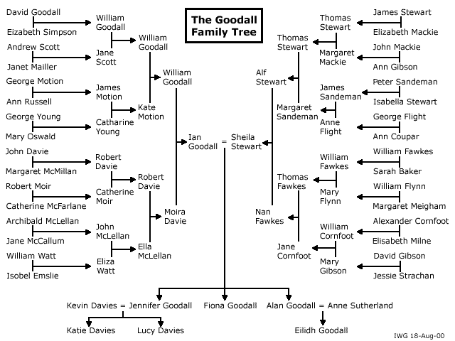 free blank family tree template. genealogy; family tree