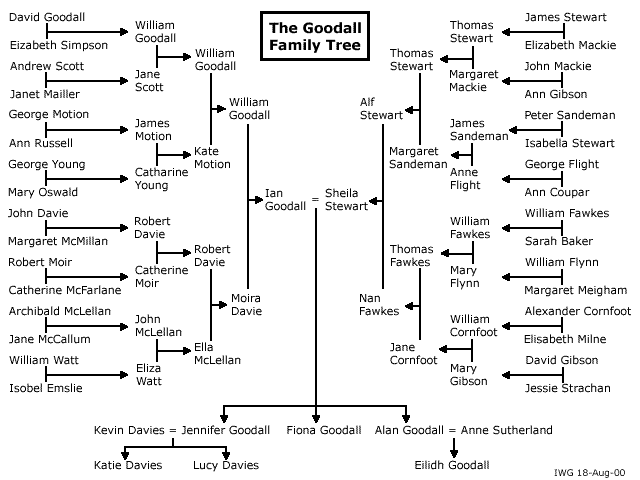 genealogy; family tree free blank family tree template. genealogy; family tree